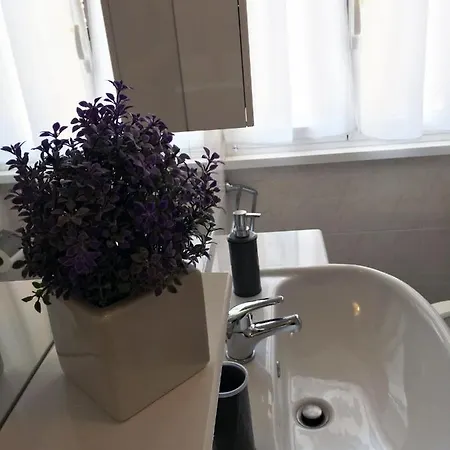 Diomira Colli Albani